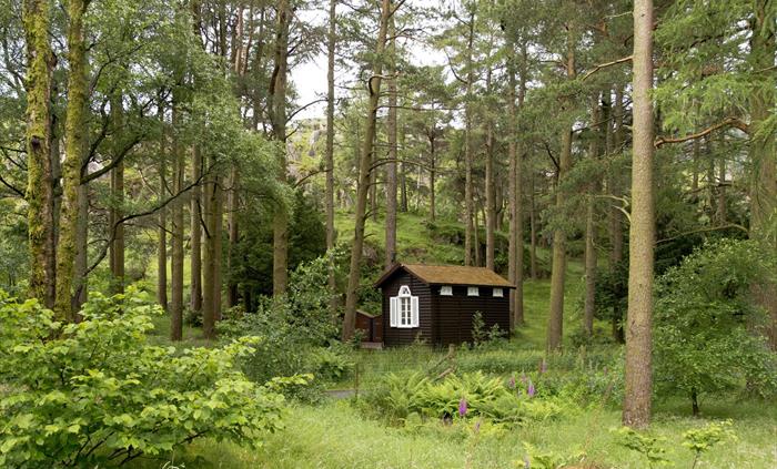 Anglesea Hut